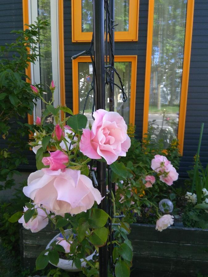 Guest House Annabel Hakodate Luaran gambar